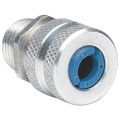 305967062.jpg