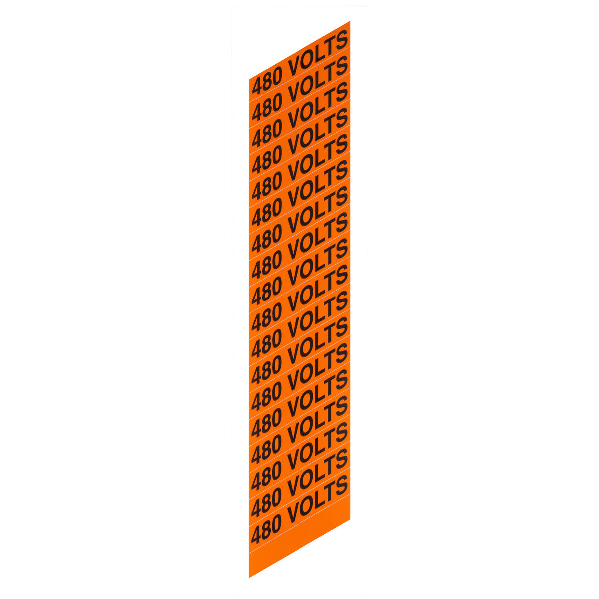 305969069.jpg