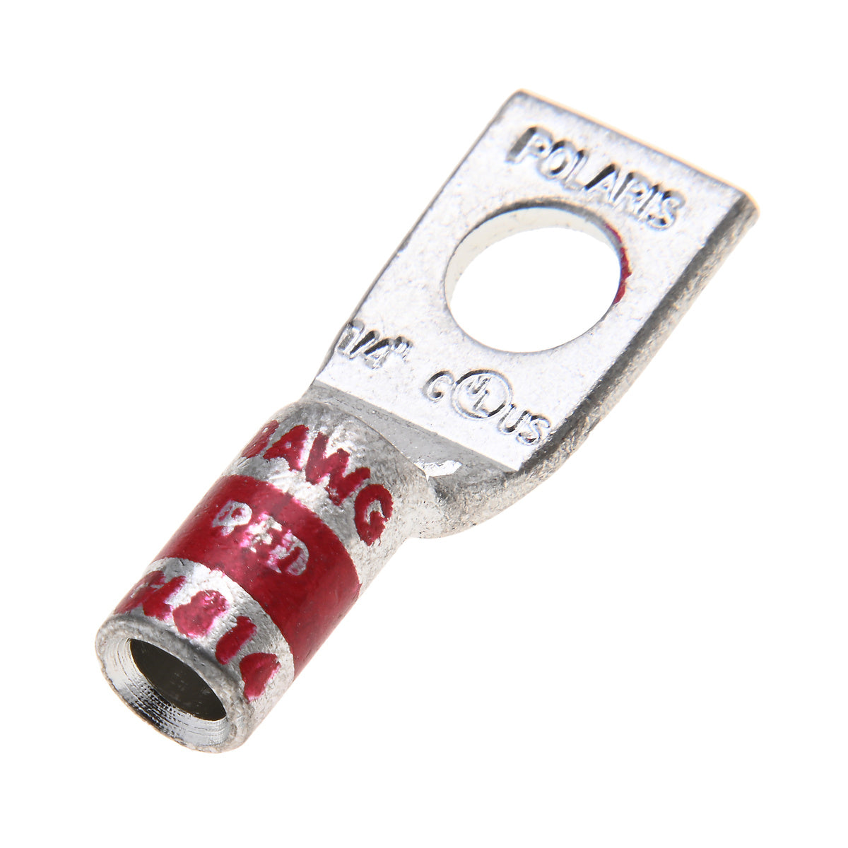 305969256.jpg