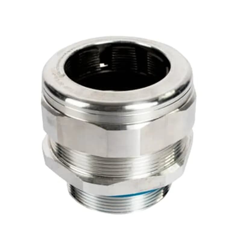 305974926.jpg