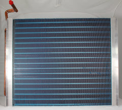 305979135.jpg
