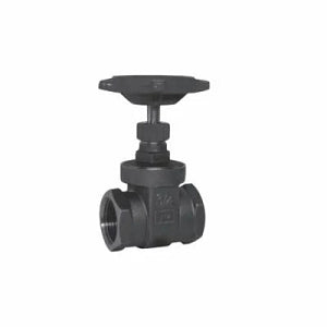 RED-WHITE VALVE Red-White Valve 206F 3/4 gate valve 3/4