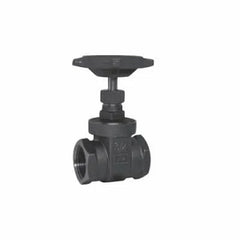 RED-WHITE VALVE Red-White Valve 206F 3/4 gate valve 3/4