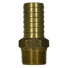 305985063.jpg