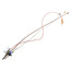 305989804.jpg