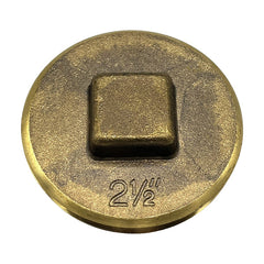 WAL-RICH Wal-Rich 2424204 2 1/2 inches Raised-Head Brass Plug