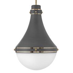 HINKLEY Hinkley Lighting 39054DMG Oliver Medium Pendant 100W