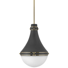 HINKLEY Hinkley Lighting 39054DMG Oliver Medium Pendant 100W