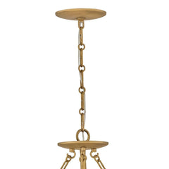 HINKLEY Hinkley Lighting FR46911BNG Fleur 5W 5 LED Convertible Chandelier 26 Inch Wide