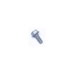 306256966.jpg
