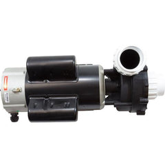 LX PUMPS Lx Pumps 48WUA2002C-II 2.5 HP Spa Pump 2 Speed 230V