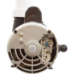 LX PUMPS Lx Pumps 56WUA400a-II Pump 4HP 2-Speed 230V 2.5x2.5 In Out