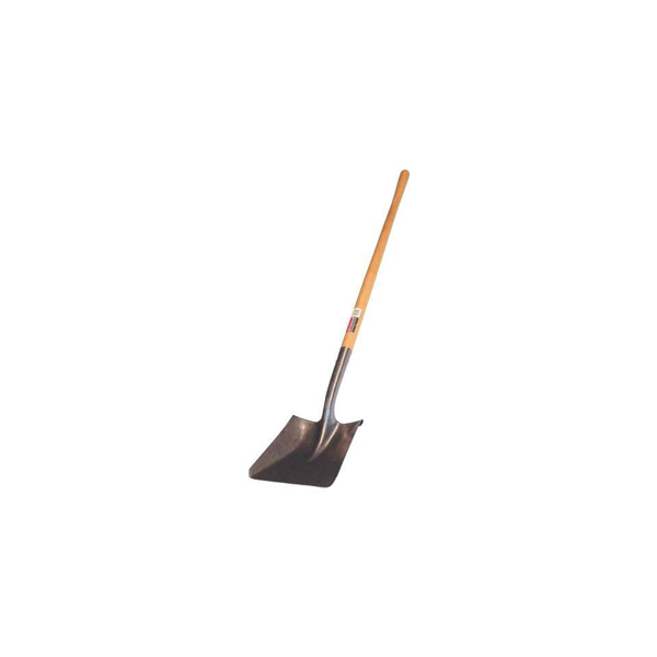 307131570.png