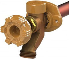 WOODFORD Woodford 17CP Model 17 10 inches Wall Faucet 1/2 inches MPT x Sweat Inlet