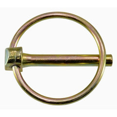 307136254.jpg