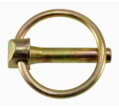 307136369.webp