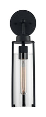 SATCO Satco 60-7161 Marina 1 light wall sconce 60W