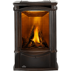 Napoleon Hearth Napoleon Hearth GDS26N-1 Castlemore Direct Vent Gas Stove 25,000 BTU