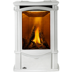 Napoleon Hearth Napoleon Hearth GDS26N-1 Castlemore Direct Vent Gas Stove 25,000 BTU