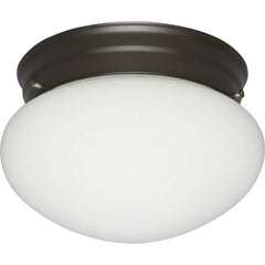 KICHLER Kichler 206OZ Ceiling Space Light 60 Watts