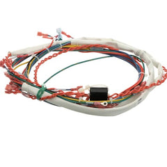 GROEN Groen 175288 Wire Harness Control Low Voltage Gas