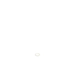 DEWALT Dewalt n416160 Dust Seal