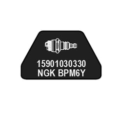 307155187.jpg