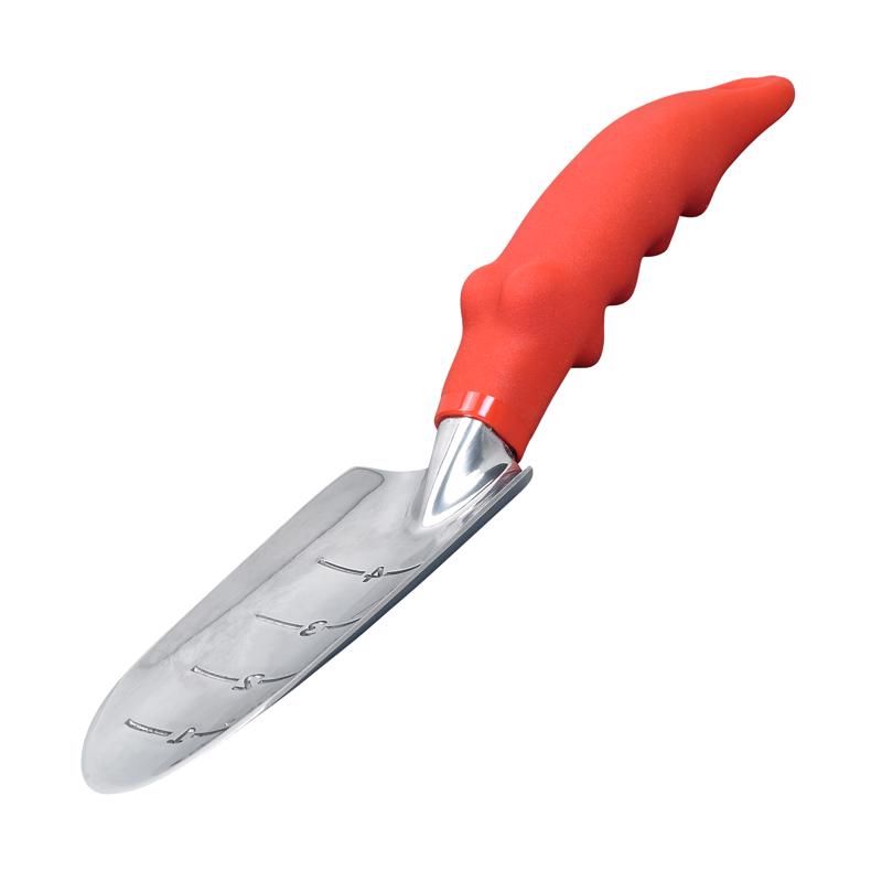 307608202.jpg