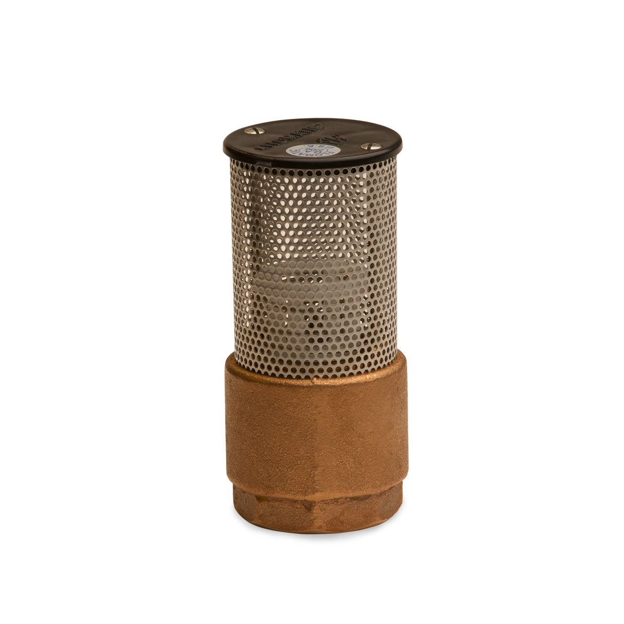 FLOMATIC Flomatic 4101E Enviro Foot Check Valve 1 inches