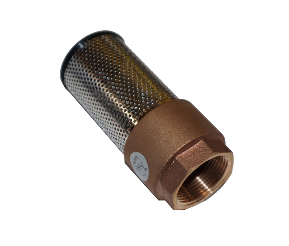 FLOMATIC Flomatic 4101E Enviro Foot Check Valve 1 inches