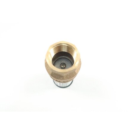 FLOMATIC Flomatic 4101E Enviro Foot Check Valve 1 inches