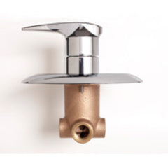 BRADLEY Bradley S59-2005 Thermostatic Mixing Valve 1/2 inches x 1/2 inches FPT
