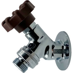 LEGEND VALVE Legend Valve 107-451 T-549CP Sillcock Valve 1/2 inches FNPT