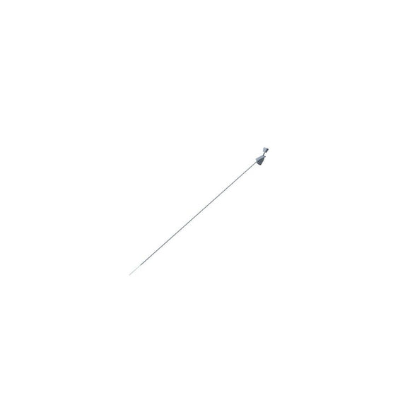 307616358.jpg