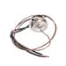 307626049.jpg