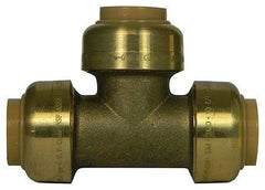 307628780.jpg