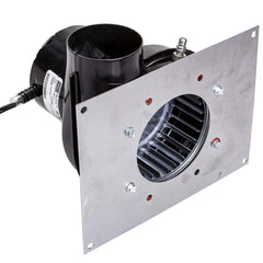 307633361.jpg