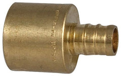 307633544.jpg