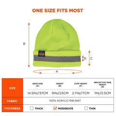 ERGODYNE Ergodyne 16864 Reflective Rib Knit Winter Hat