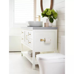 AMEROCK Amerock BH36031CZ Revitalize Collection Single Post Toilet Paper Holder