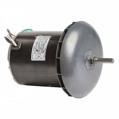 308898619.webp