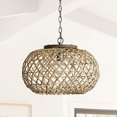 CAPITAL Capital 340811GK Rainey Medium Pendant 100-watt 18.5-inch width