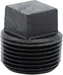 LEGEND VALVE Legend Valve 350-408 2 inches Black Square Head Plug