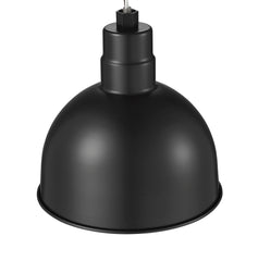 MILLENNI Millennium RDBS12-SB R Series One Light Pendant 120V 12 x 11.5