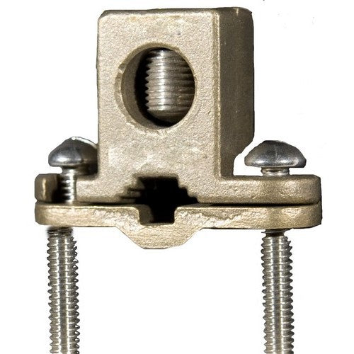 308905089.jpg
