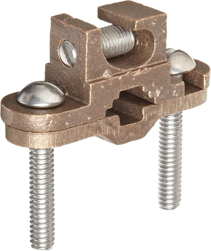 308905275.jpg