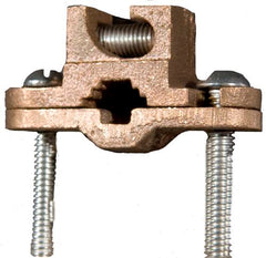 308905277.jpg