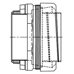 308905507.jpg