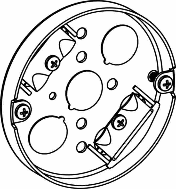 308905749.jpg
