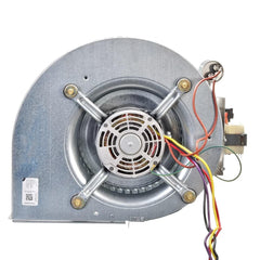 RHEEM Rheem AS-101931-02 Blower Assembly AS10193102